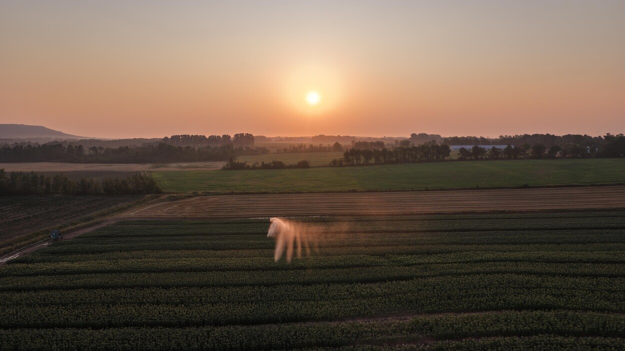 De jeunes agriculteurs applaudissent un programme d’accès aux terres en Nouvelle-Écosse