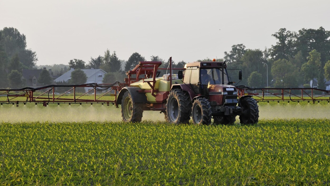 Un tracteur épand des pesticides dans un champ.