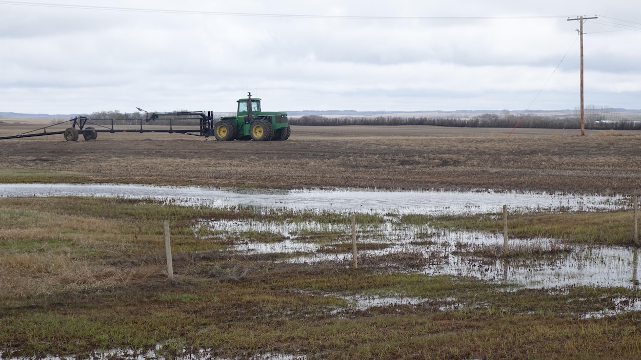 Des agriculteurs se réjouissent des fortes pluies, d’autres s’en désolent