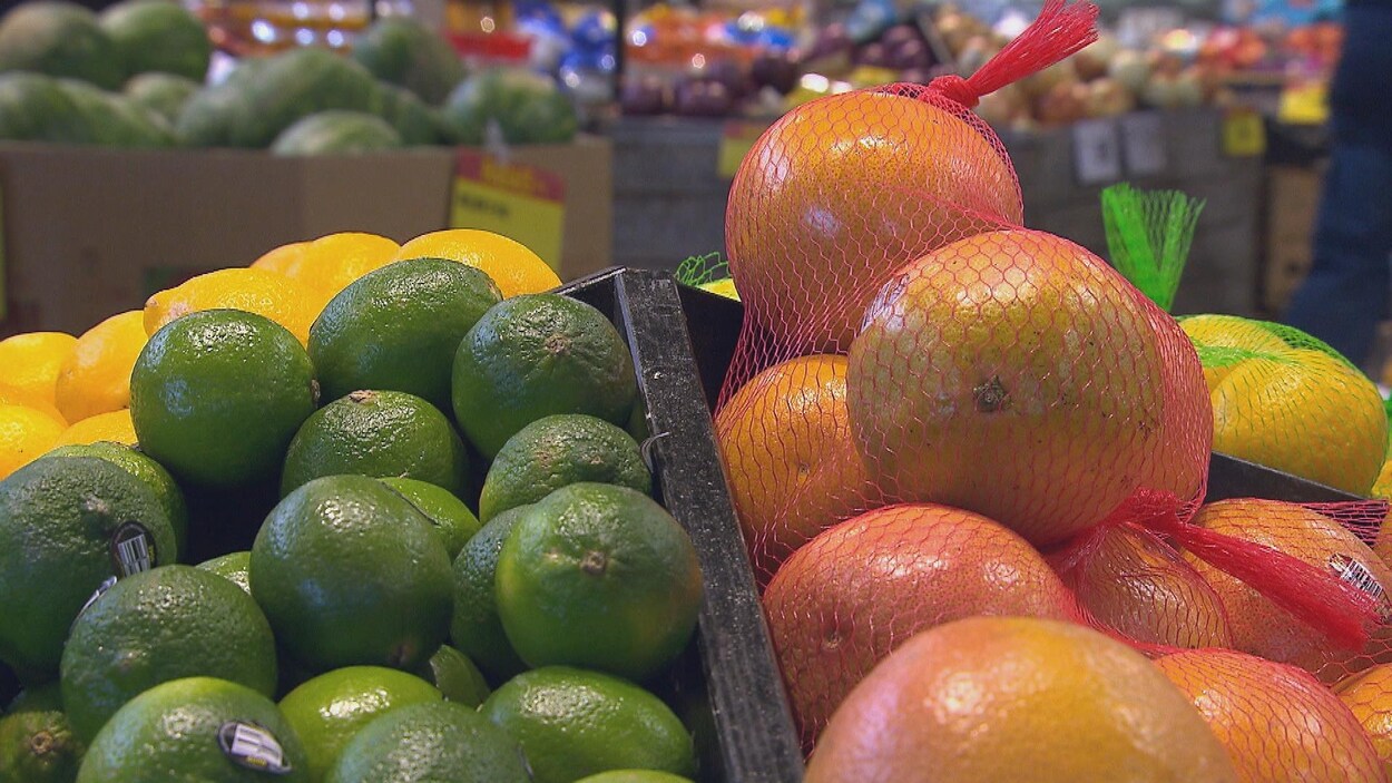 Des pamplemousses, des citrons et des limes sur un étal.