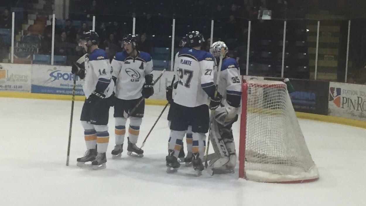 Des joueurs de hockey sur une patinoire