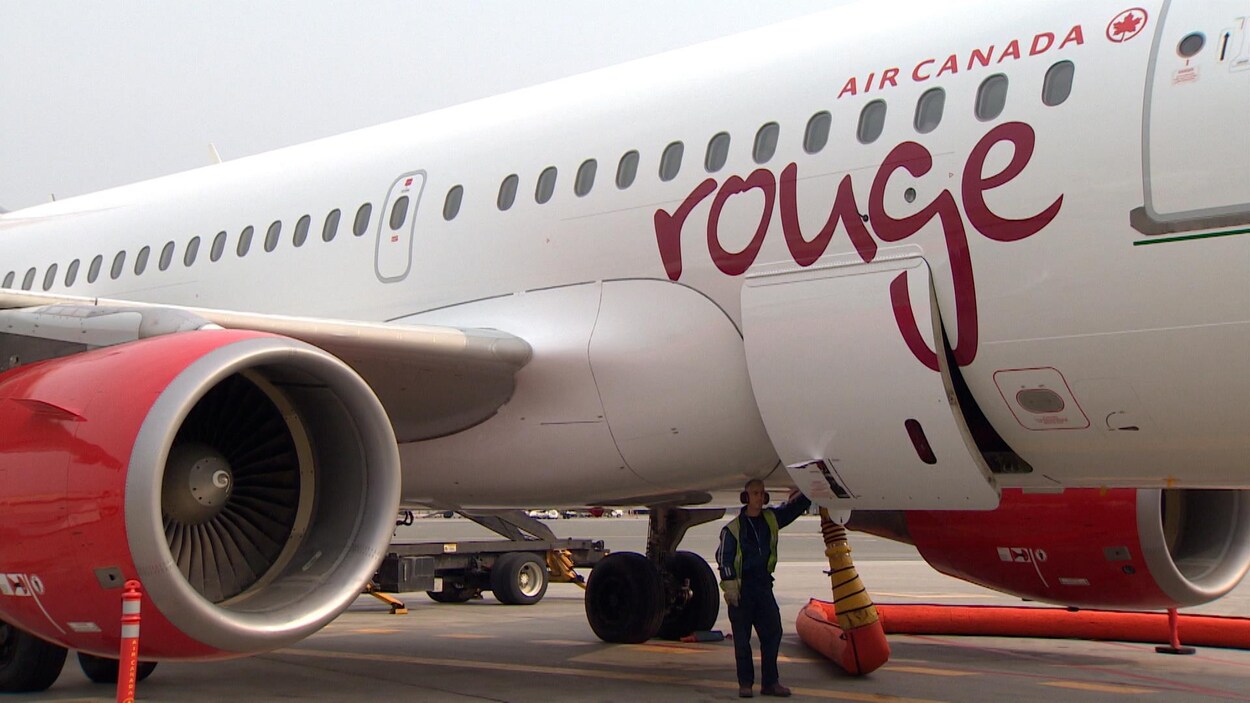 Un employé découvert dans la soute à bagages d'un avion