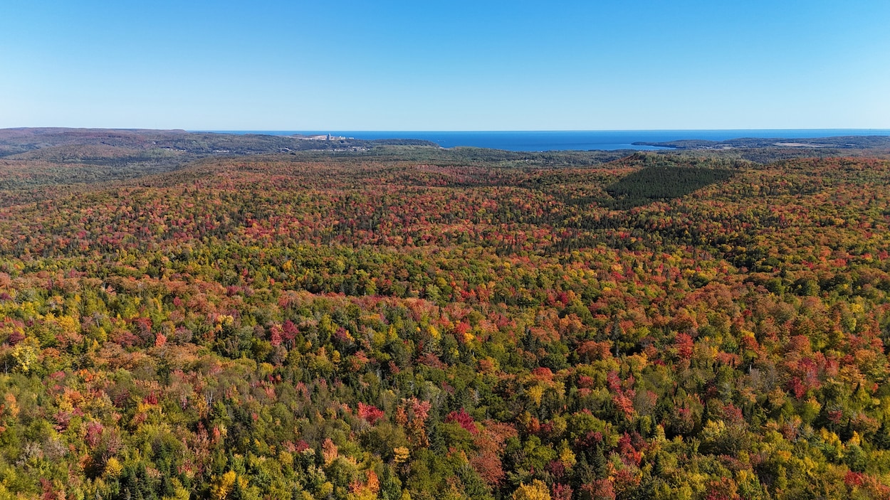 Un territoire de 1500 hectares protégé à perpétuité à Port-Daniel
