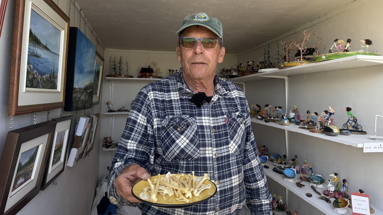 À Baie-Johan-Beetz, des os de lièvre pour faire revivre l’histoire