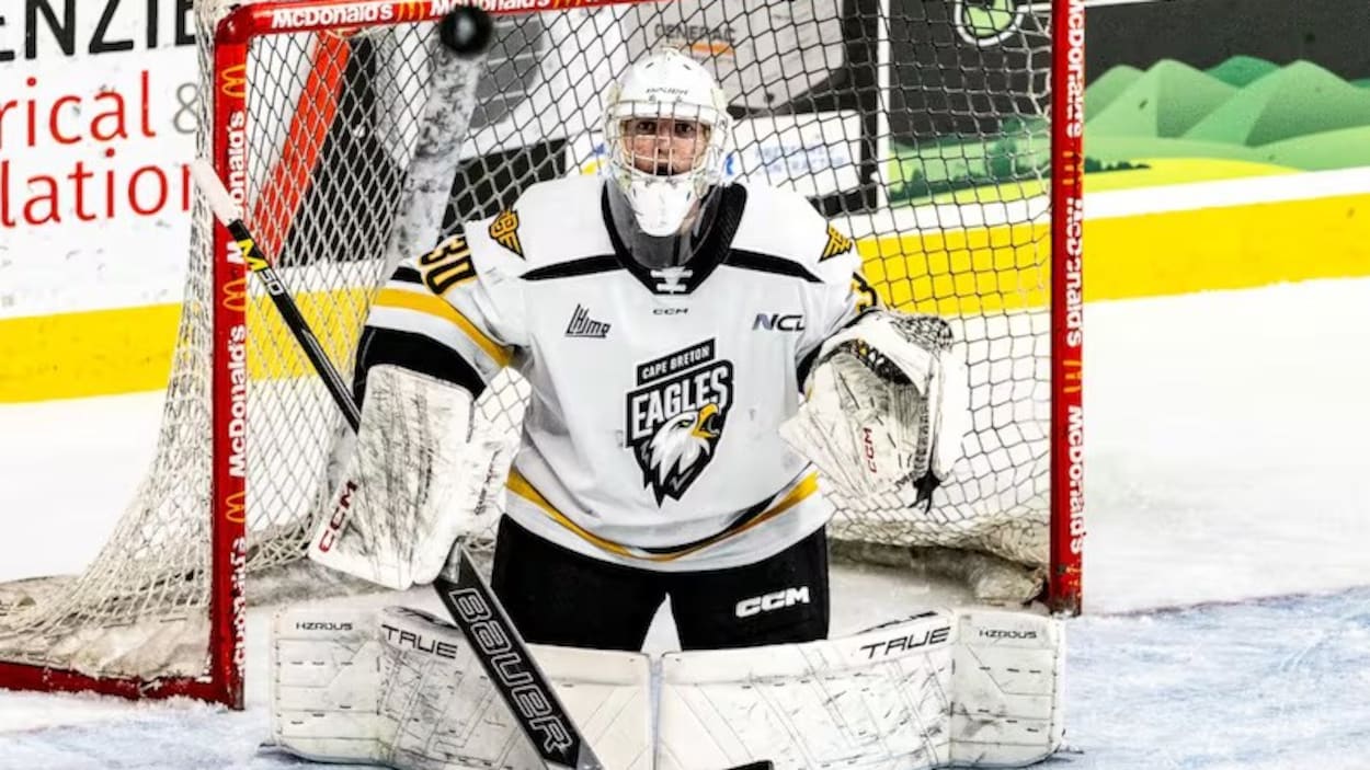 Alexis Cournoyer Drafted by the Canadiens From Obscurity to a Dream Realized