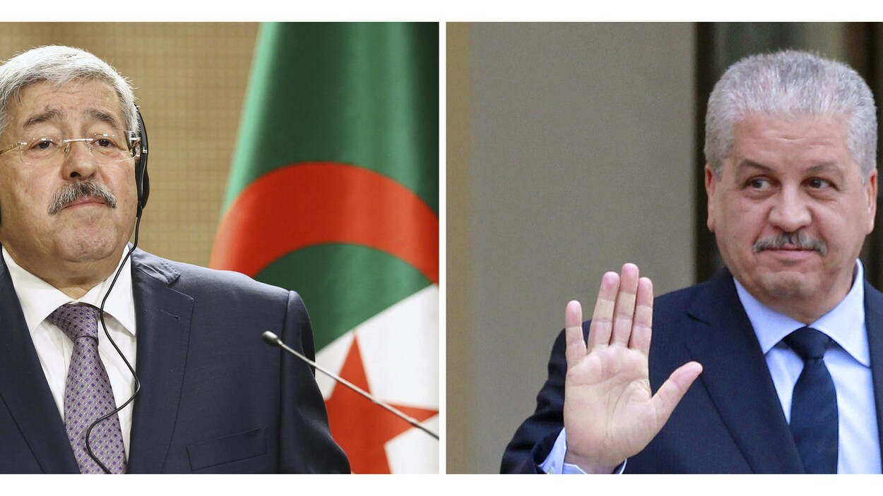 Deux hommes en veston cravate, en deux cases différentes mais réunies. Les deux hommes ont les cheveux grisonnants et portent chacun une moustache. Le drapeau algérien est placé derrière l'un d'eux.