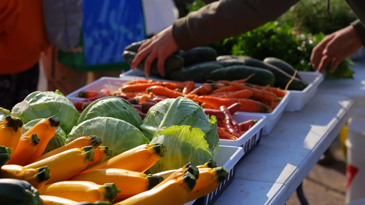 Listuguj en marche vers une souveraineté alimentaire