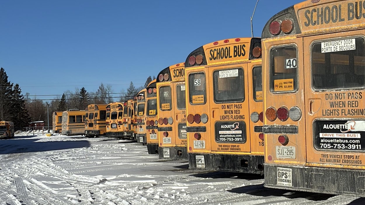 Des autobus d’Alouette Bus Lines reprennent la route, malgré la grève