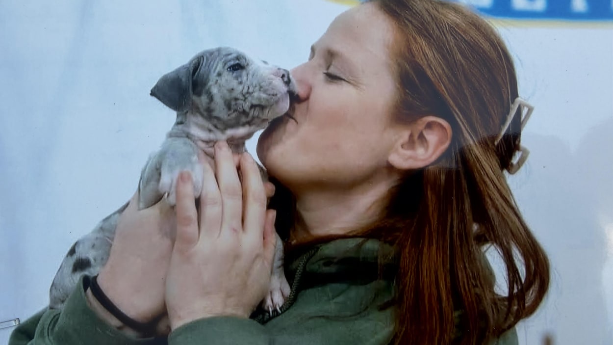 Des chiens auraient tué une défenseuse des animaux à Sandy Bay