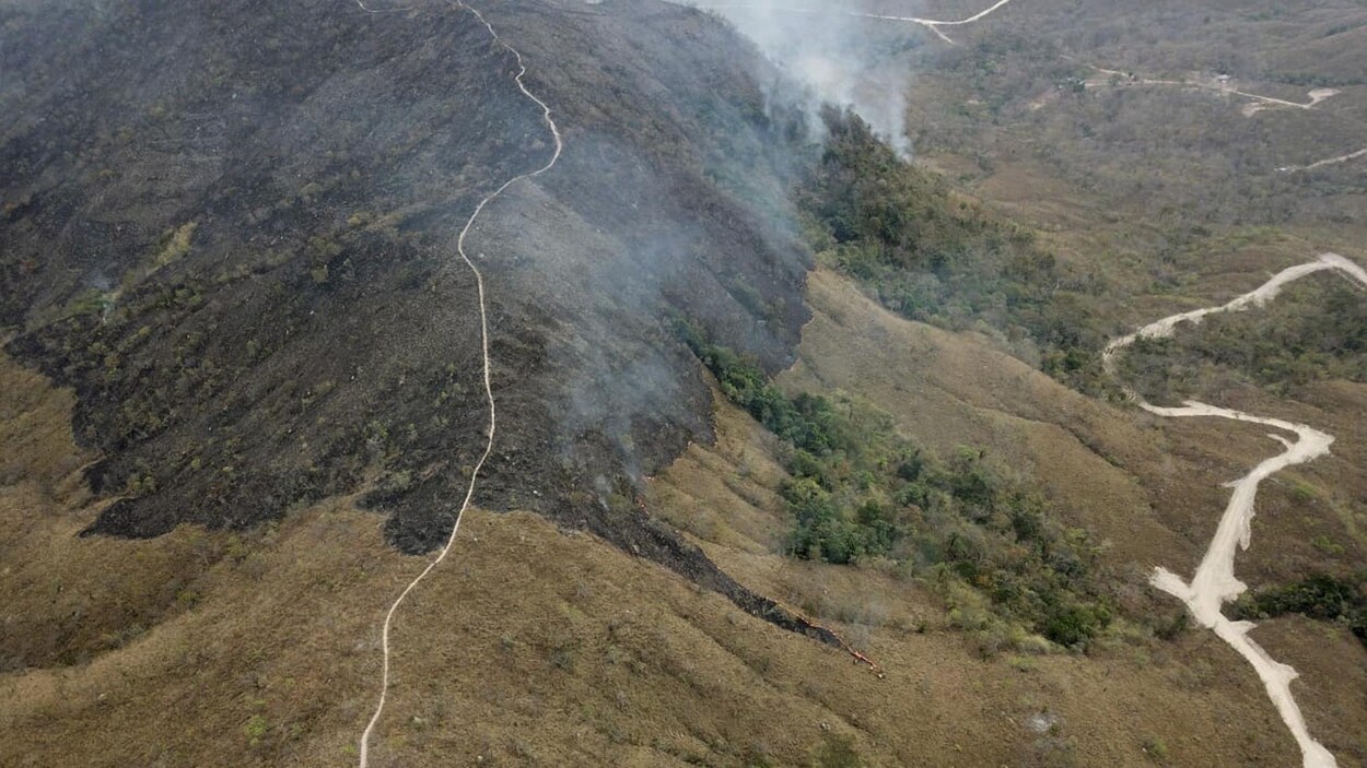 Une forêt en région montagneuse, d'où se dégage de la fumée.