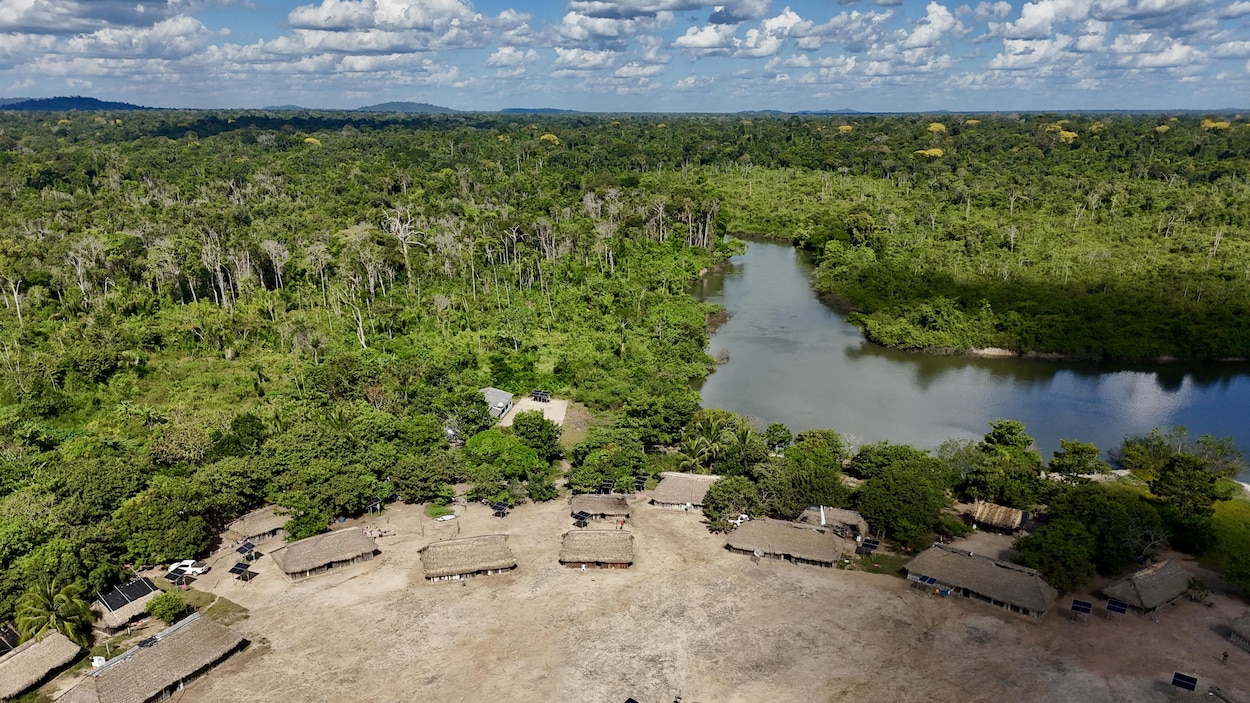 Brésil : la déforestation en Amazonie au plus bas au 1er semestre