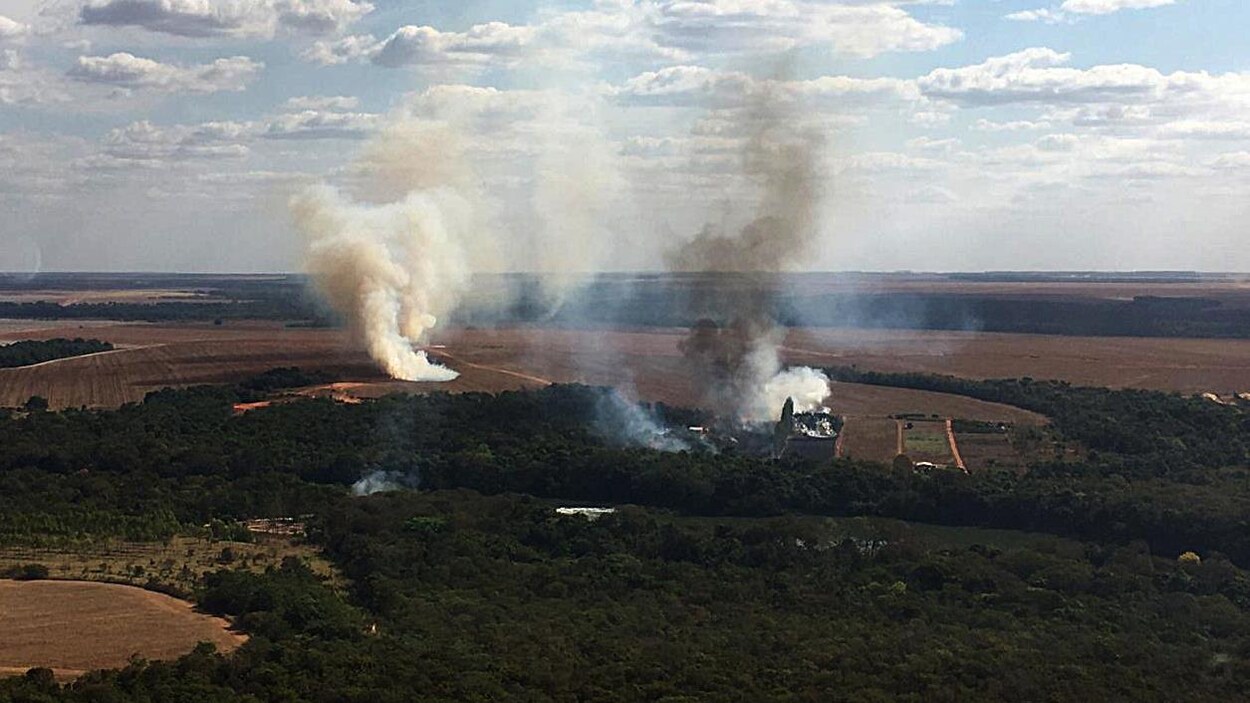 Deux colonnes de fumée s'élèvent dans le ciel au-dessus de la végétation.