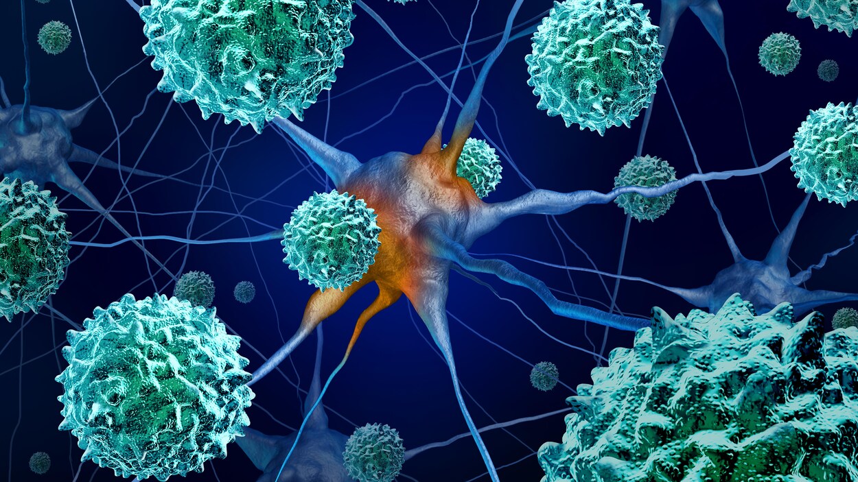 Illustration en 3D de l'enterovirus responsable de l'amyélite flasque aiguë. Illustration en 3D de l'enterovirus responsable de l'amyélite flasque aiguë.