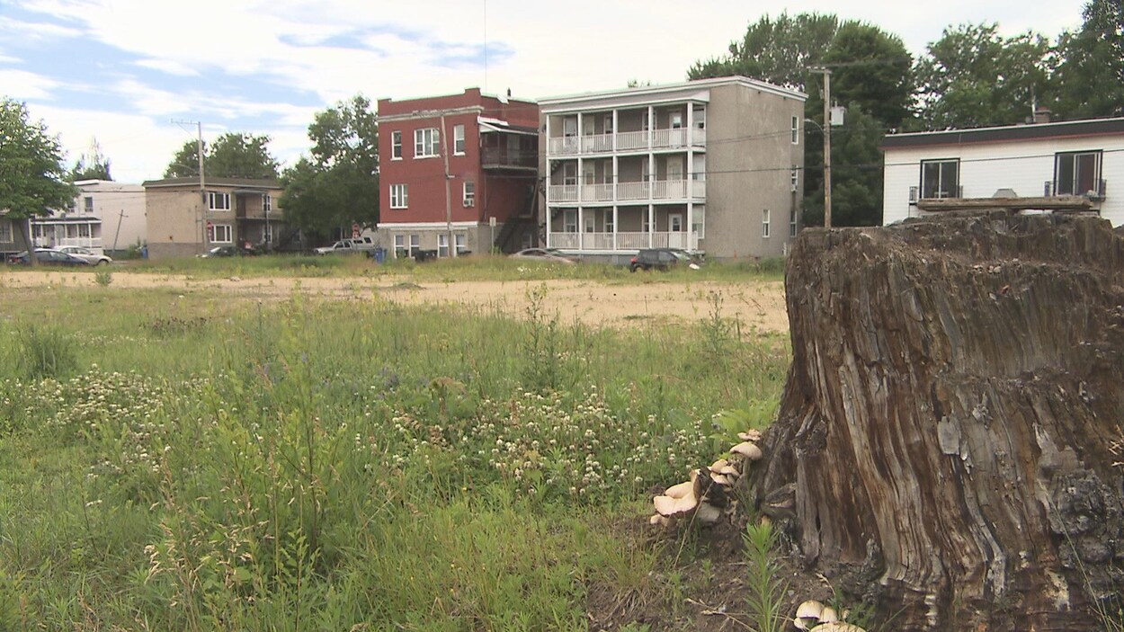 Terrain vacant et immeuble à logements de l'autre côté de la rue.
