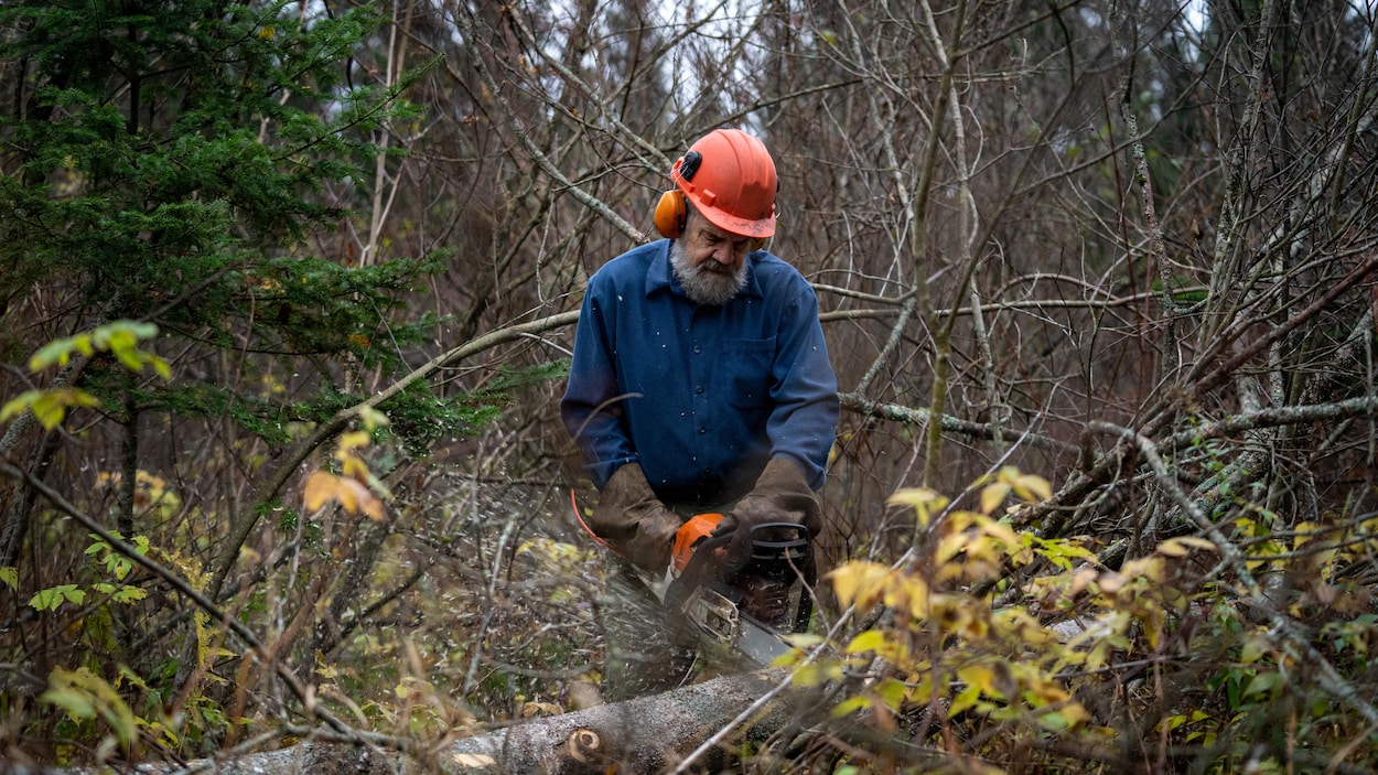 Dénonciation d’une concurrence déloyale dans le secteur de la forêt publique