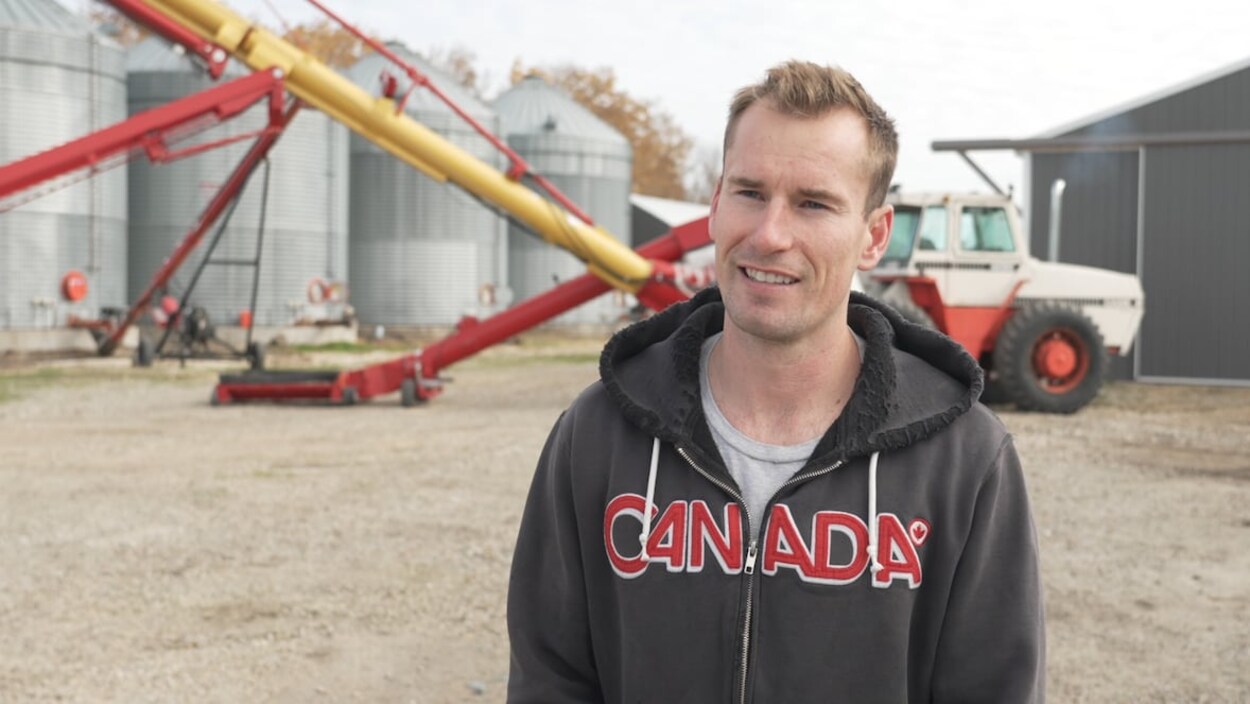 Au Manitoba, les pluies tardives ont permis des récoltes exceptionnelles de soja