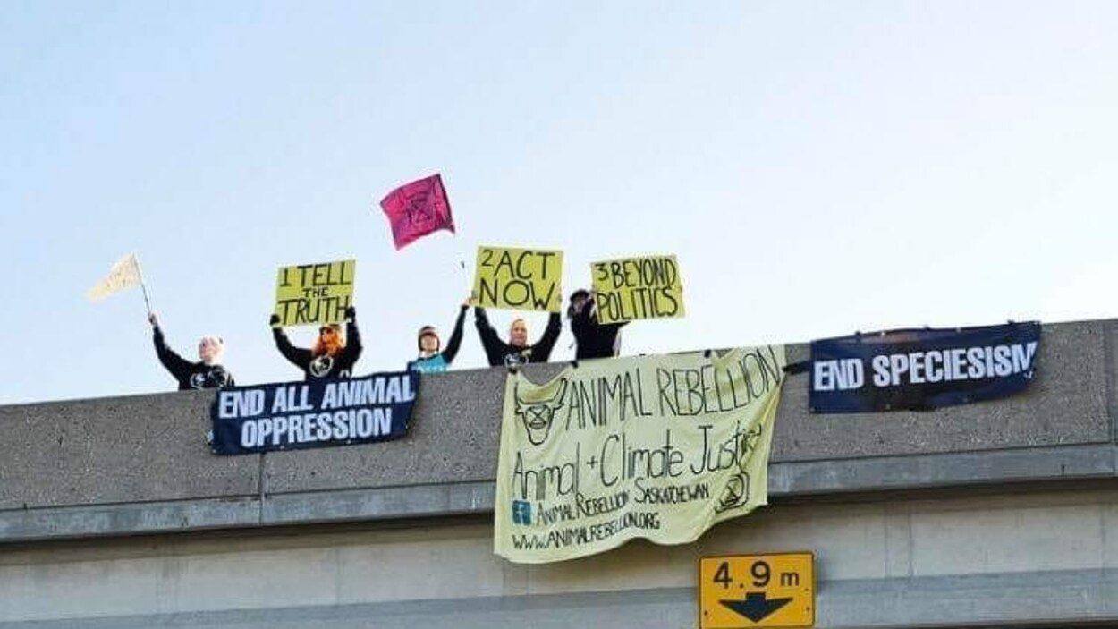 Quatre manifestants tiennent des pancartes par-dessus du pont.