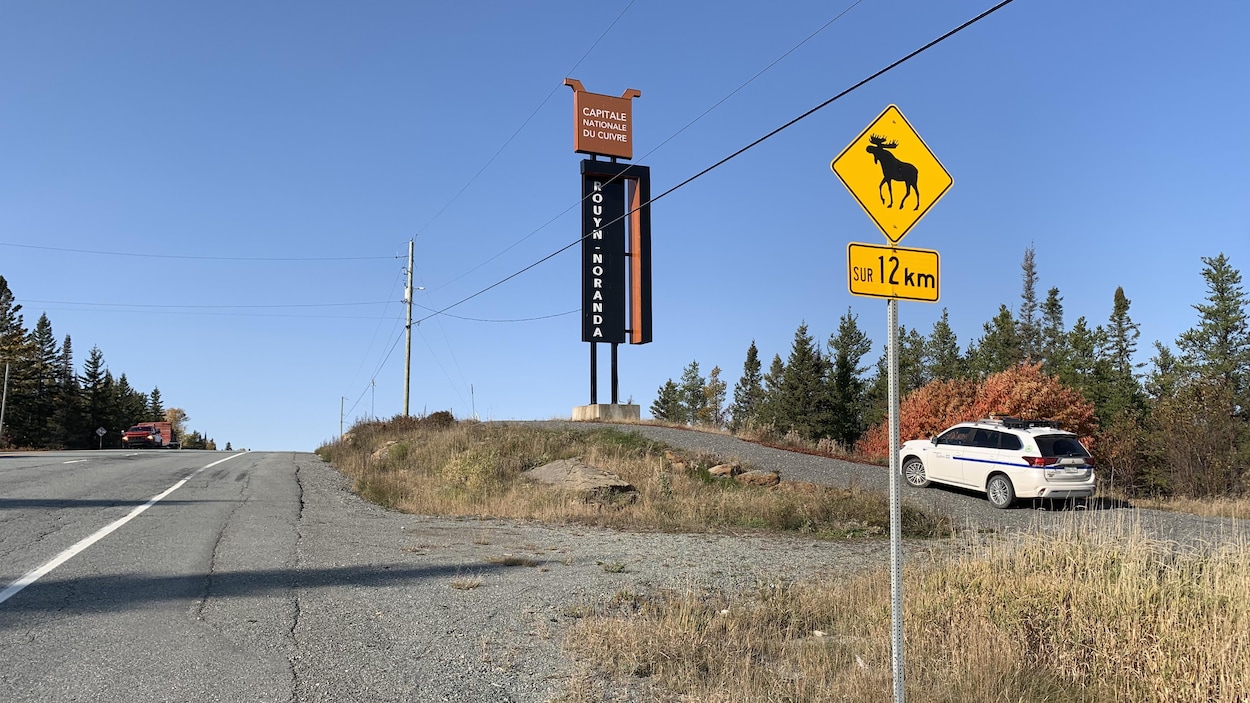 Grande faune sur les routes : appel à la prudence en Abitibi-Témiscamingue