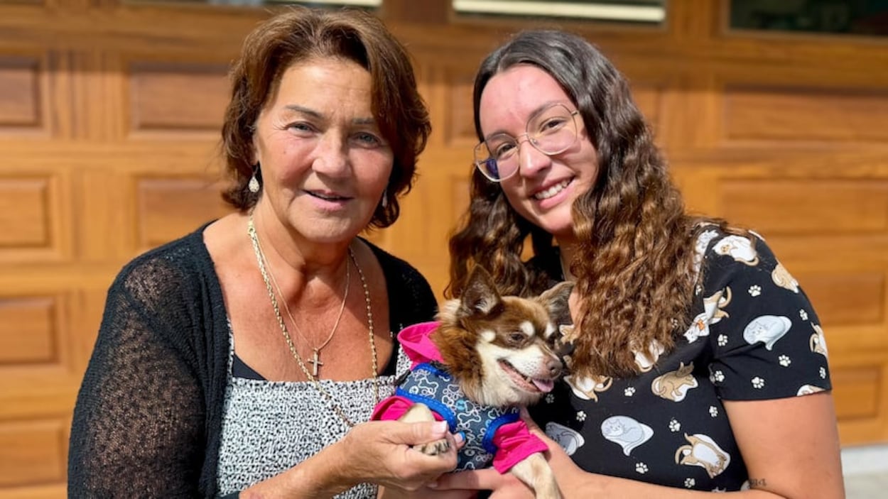 De plus en plus d’animaux de compagnie abandonnés pour des raisons financières à Winnipeg
