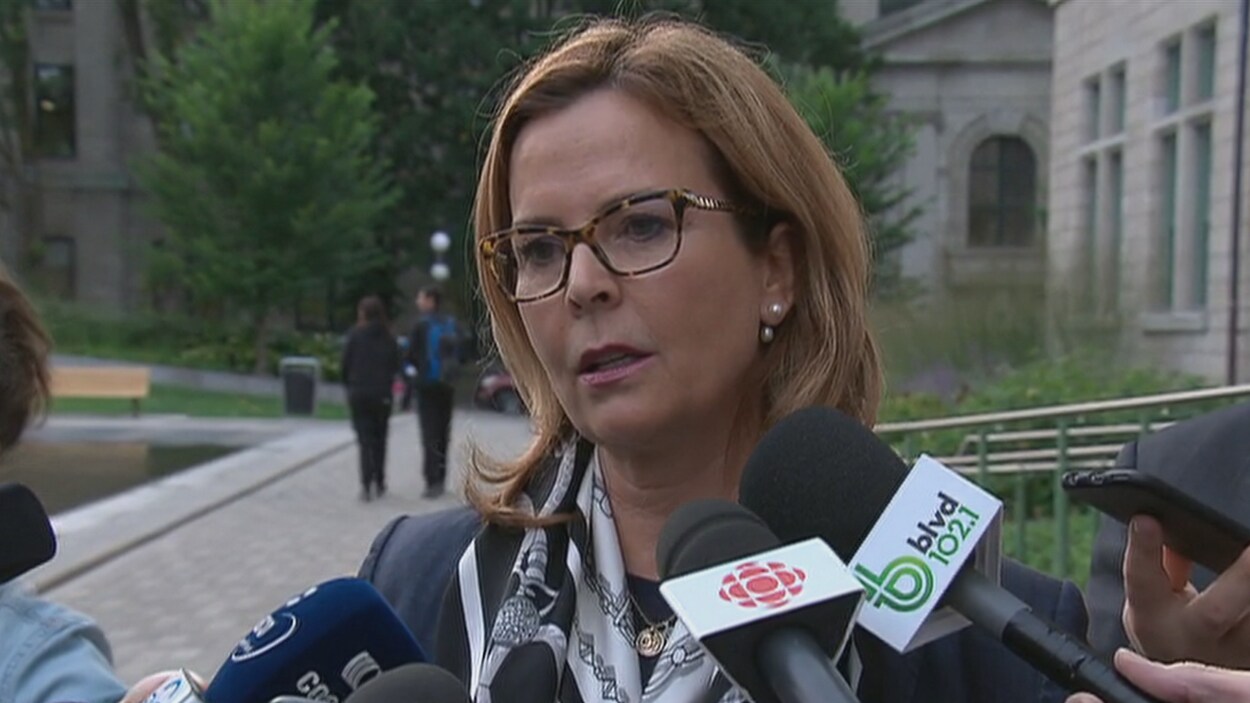 La chef de Démocratie Québec, Anne Guérette