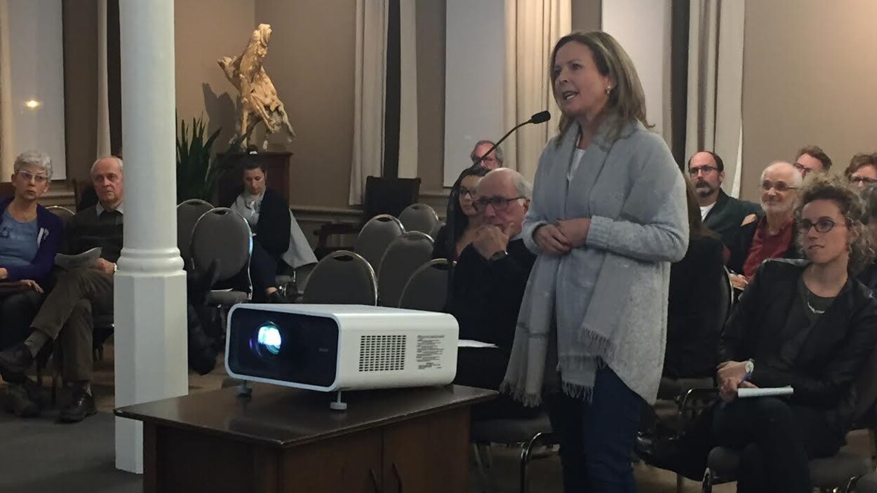 Anne Guérette s'oppose farouchement à un projet immobilier dans le Vieux-Québec.