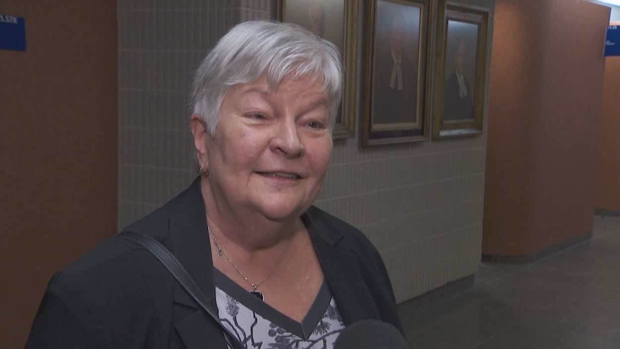 Anne Robillard c. Meta : « C’est le combat de David et Goliath »