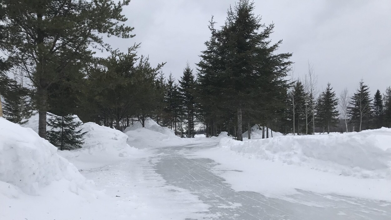Une piste de glace est aménagée entre les sapins.
