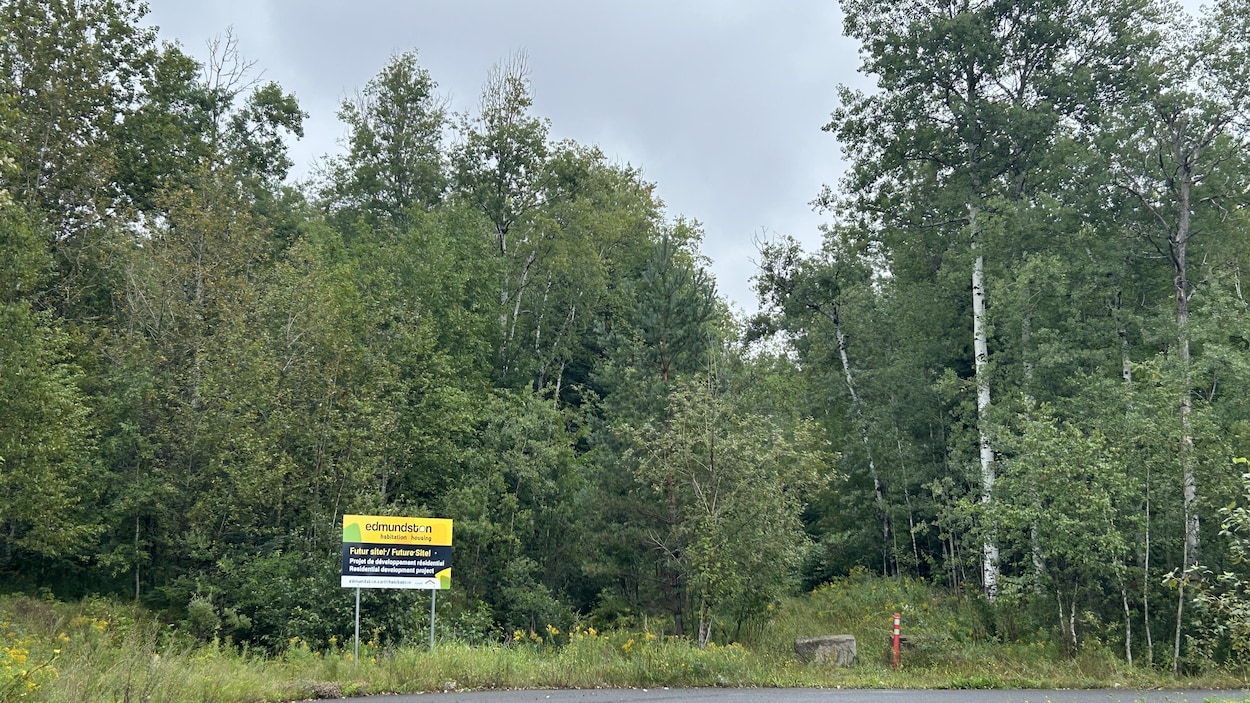 Environ 700 logements pourraient être construits à Edmundston-Nord