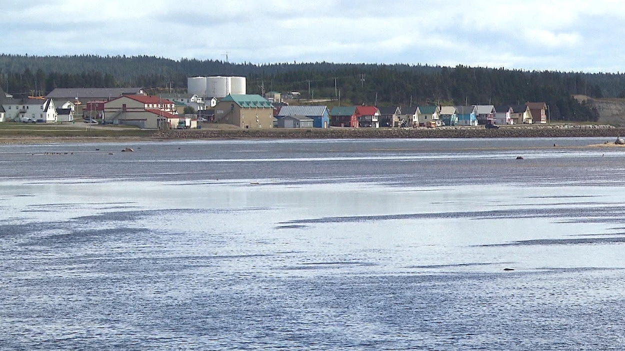 Le projet de navette Minganie-Anticosti-Gaspésie serait rentable, selon une étude