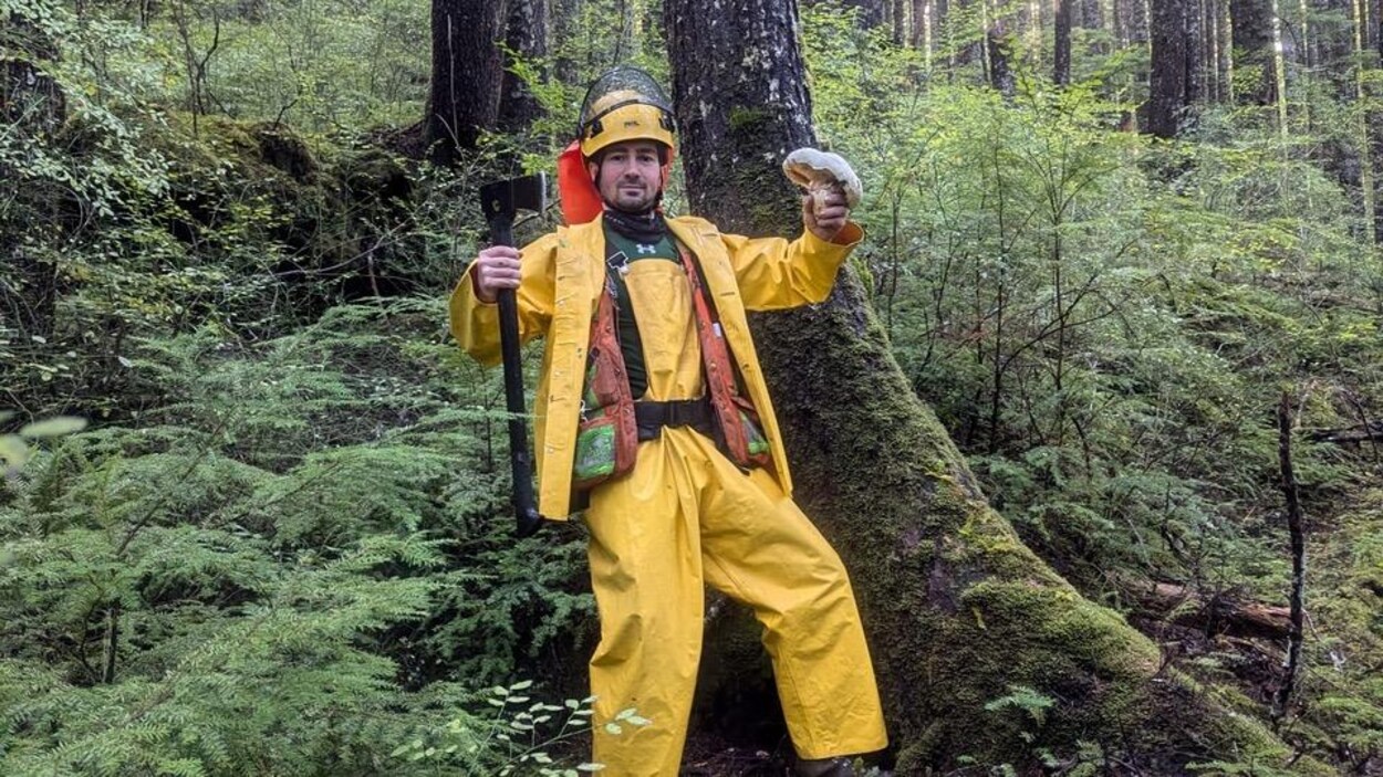 Quel avenir pour la foresterie en C.-B. ?