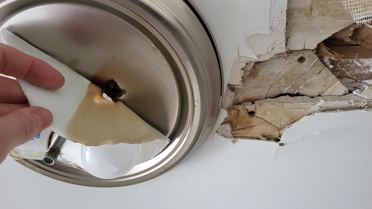 Infiltrations d’eau répétées : des appartements tombent en ruine à Shawinigan