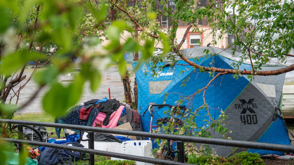 Crise de l’itinérance : Thunder Bay désigne trois sites pour encadrer les campements