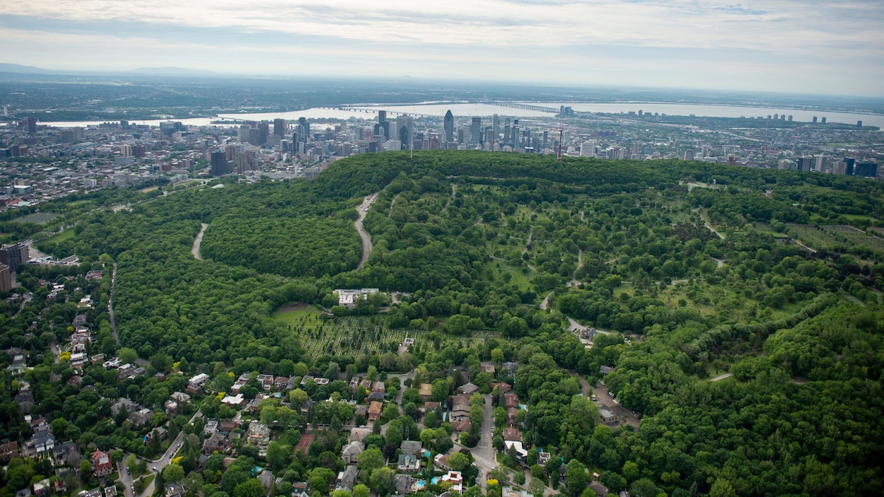 The Debate Continues: Balancing Conservation and Transportation in Downtown Montreal’s Mount Royal Park