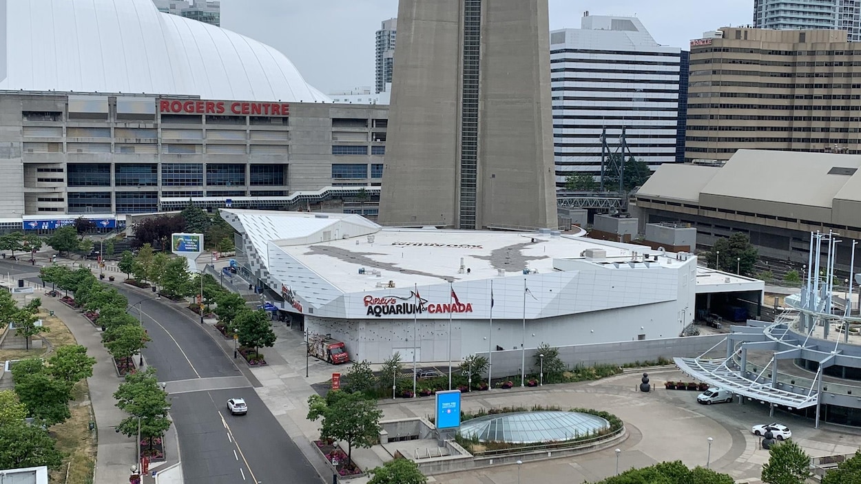 Vue aérienne de l'aquarium Ripley's au centre-ville de Toronto.