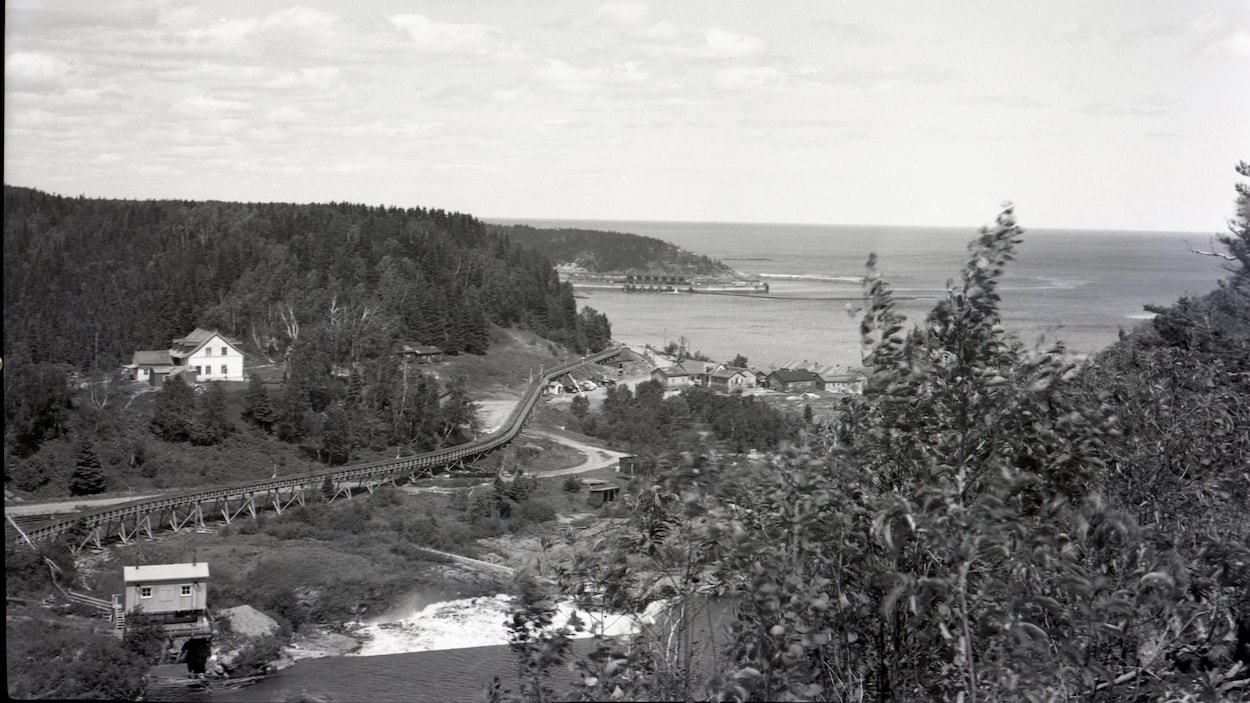 paysage de forestville avec l'arboriduc.