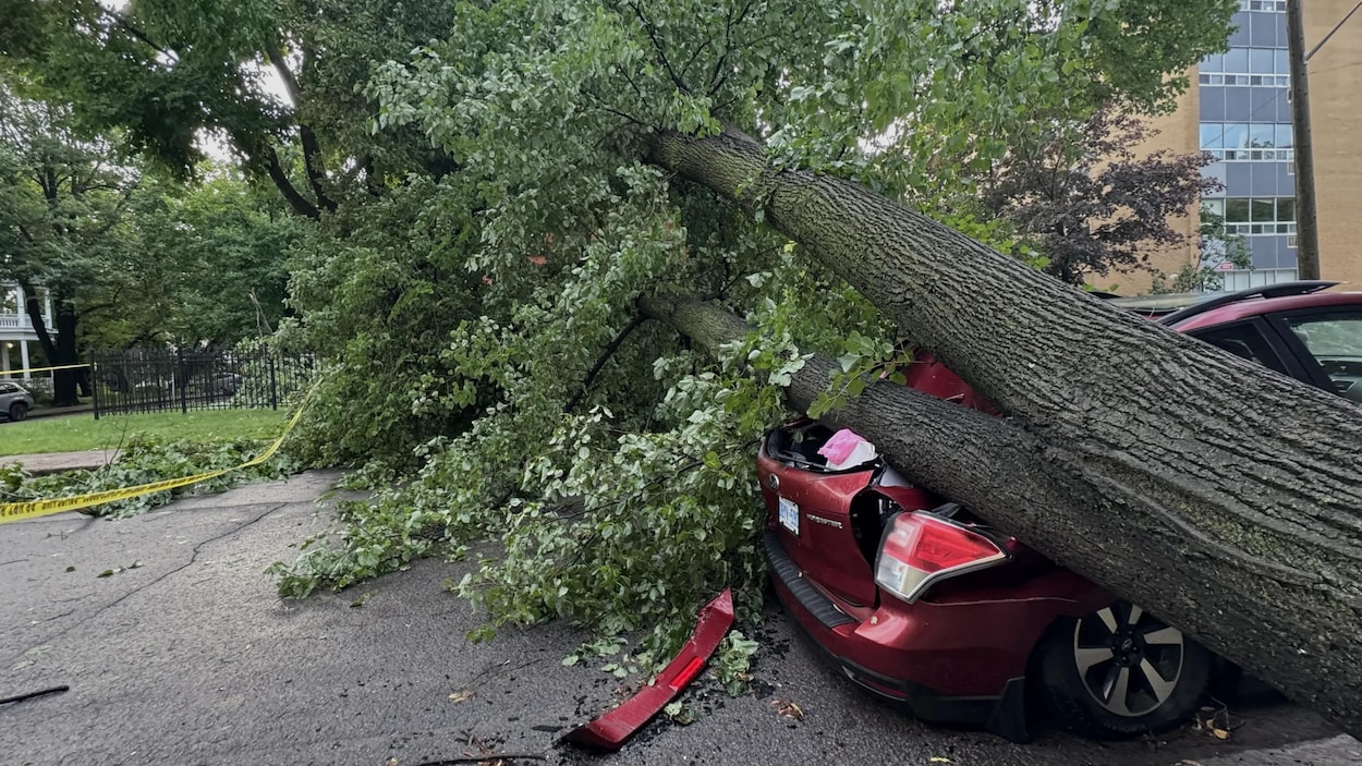 Orages du 1er juillet : le bilan des dégâts à Ottawa