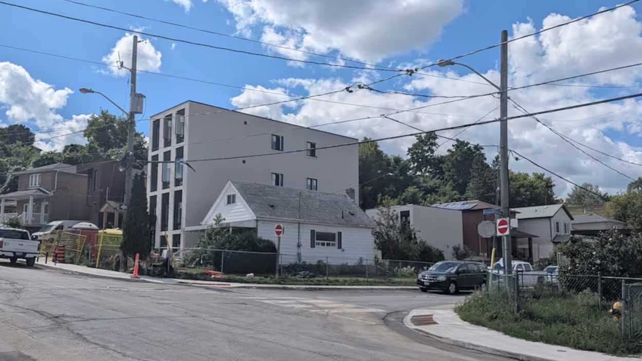 Abattage illégal d’arbres à Toronto : un promoteur visé par une dixième enquête municipale