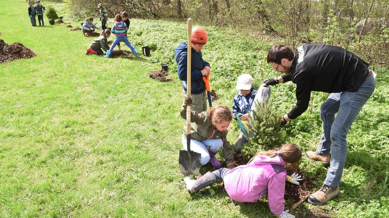 Des enfants plantent des arbres avec l'organisme Arbre-Évolution.