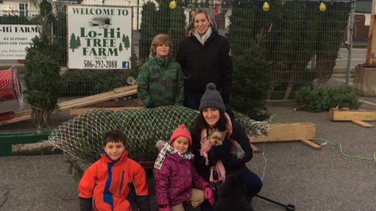 Une famille devant des sapins de Noël Une famille devant des sapins de Noël