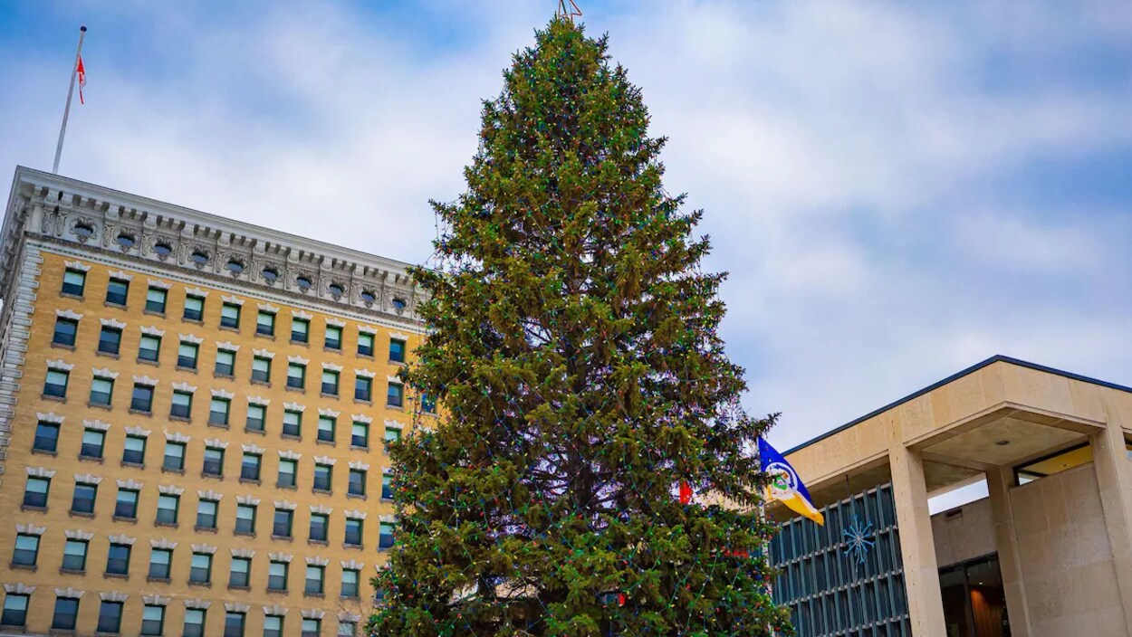 Un immense sapin décoré de boules, lumières et guirlandes.