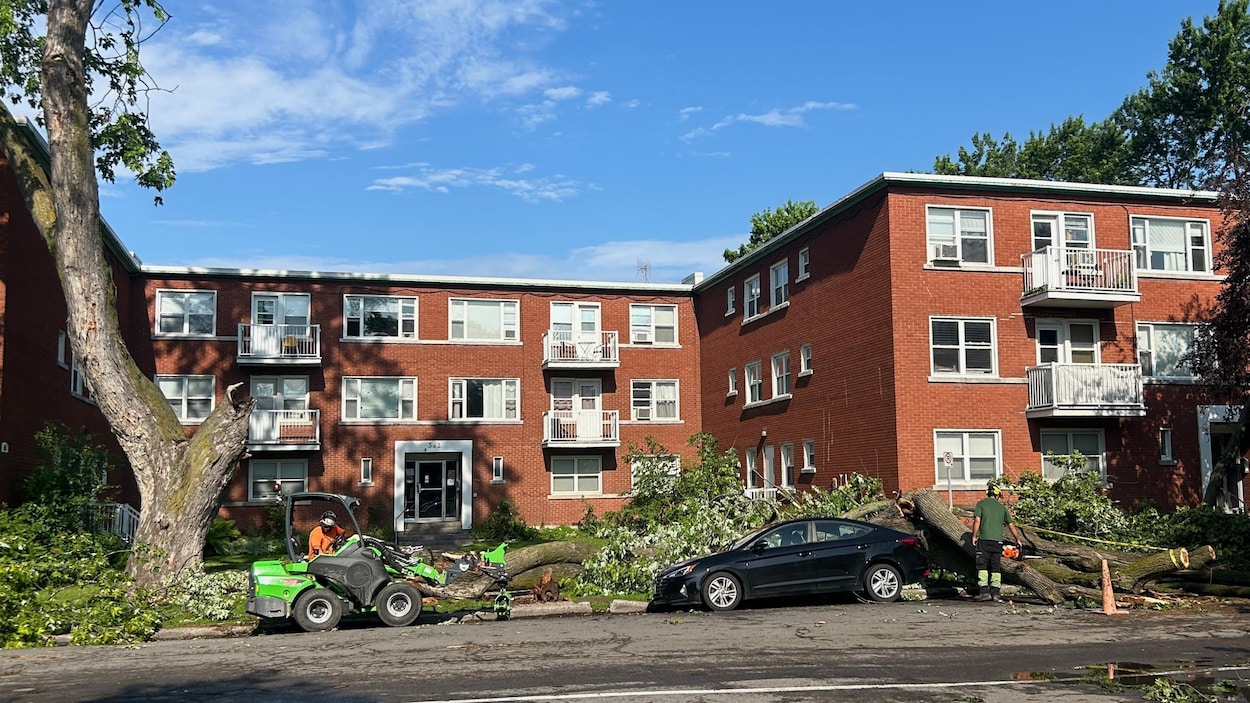 Orages du 1er juillet : Mark Sutcliffe fait le bilan des dégâts à Ottawa