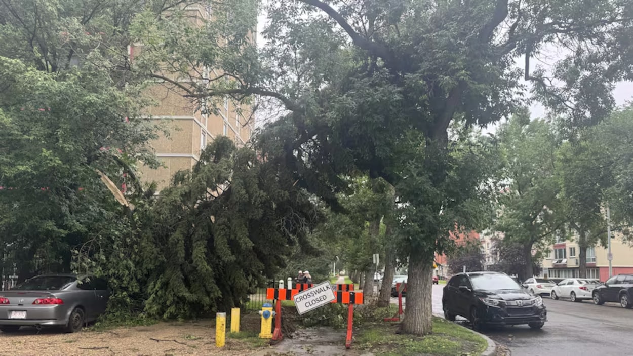 Edmonton reçoit du renfort de Calgary après les tempêtes