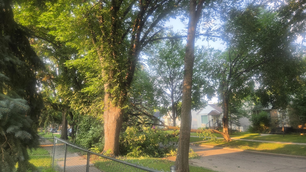 Une tempête cause des dégâts et prive des milliers de personnes d’électricité au Manitoba