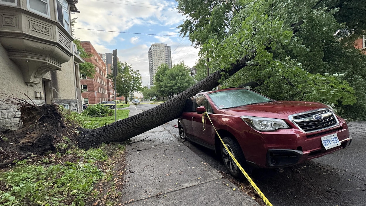 439 M$ d’assurance de dommages après les orages qui ont frappé l’Ontario et le Québec
