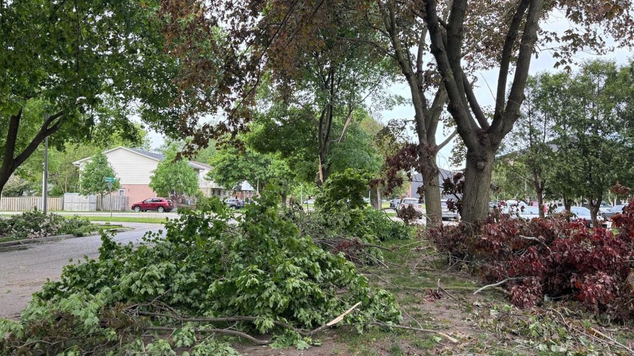 Tornade confirmée au sud-est de London en Ontario