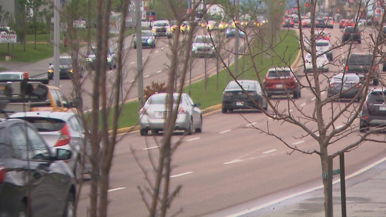Des arbres dénudés se trouvent à côté et au centre du boulevard Talbot.