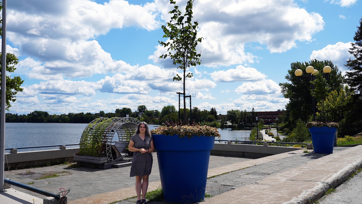 Décorations de rue: où iront les arbres en pots?