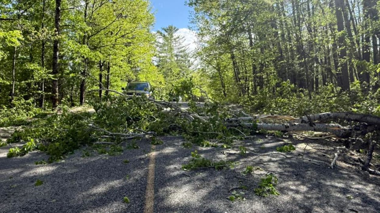 Des milliers de personnes toujours sans électricité depuis vendredi en Outaouais