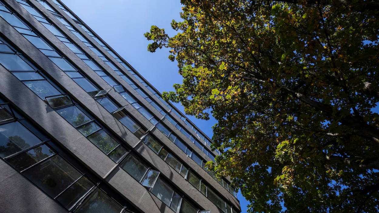 Modéliser l’emplacement des arbres pour optimiser leurs effets bénéfiques