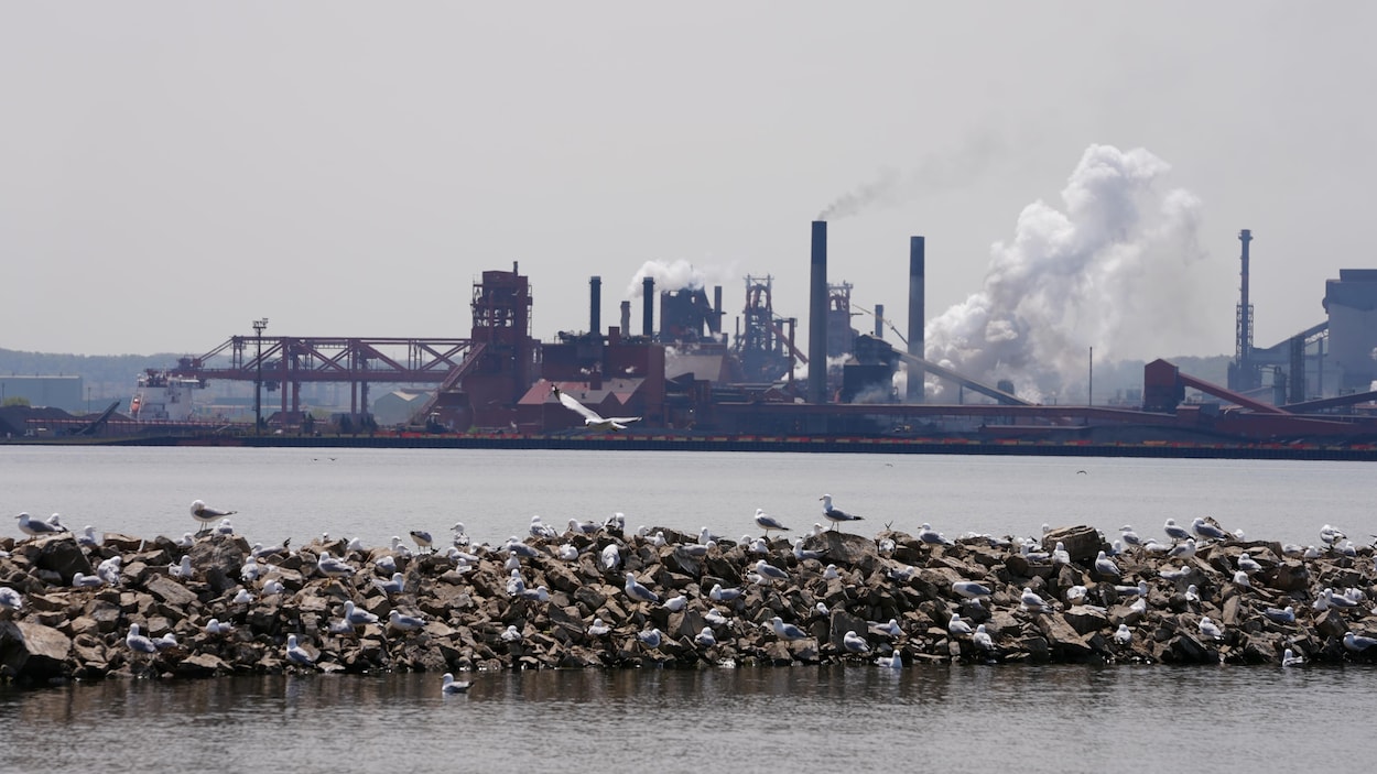 L’Ontario doit corriger une politique « brisée » sur la pollution, disent deux Ontariens